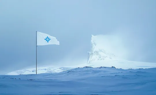 Un drapeau pour l'antarctique