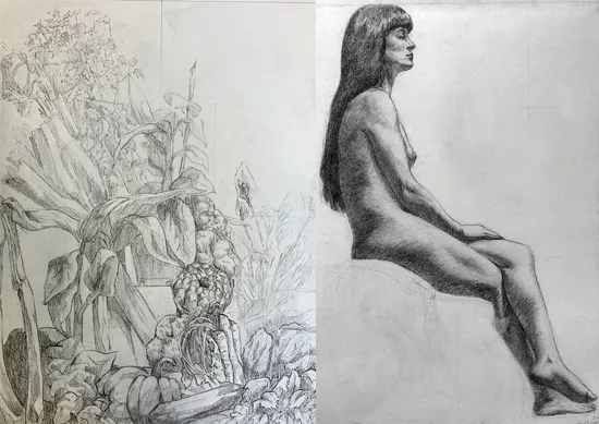 Dessin d'observation